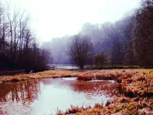 Wakehurst