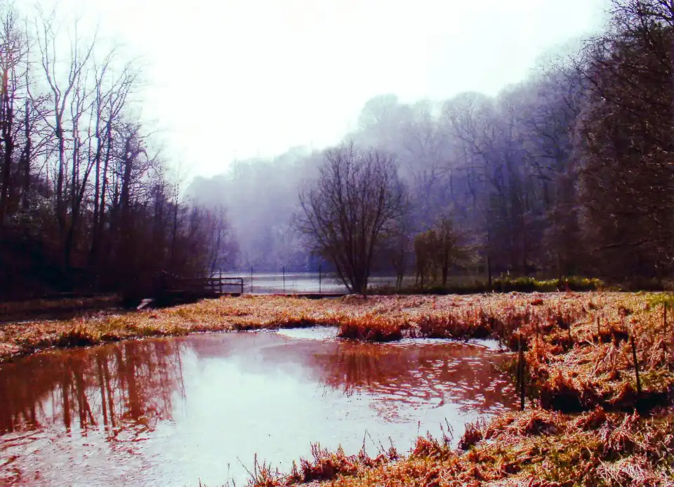 1_Kew Wakehurst