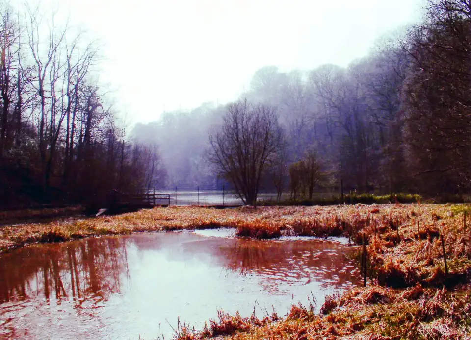 1_Kew Wakehurst