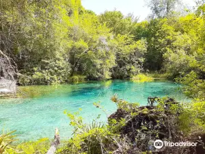 Ichetucknee Springs State Park