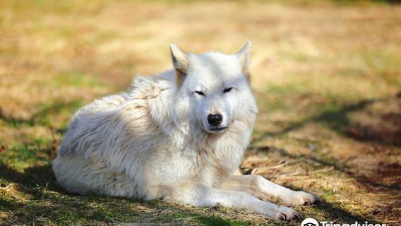 Greater Vancouver Zoo