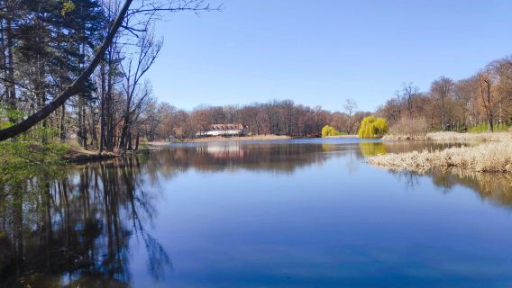 Solacki Park