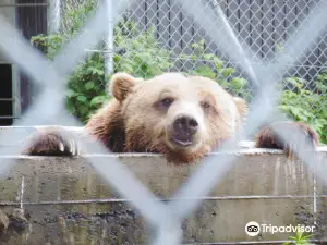 Zoo Falardeau