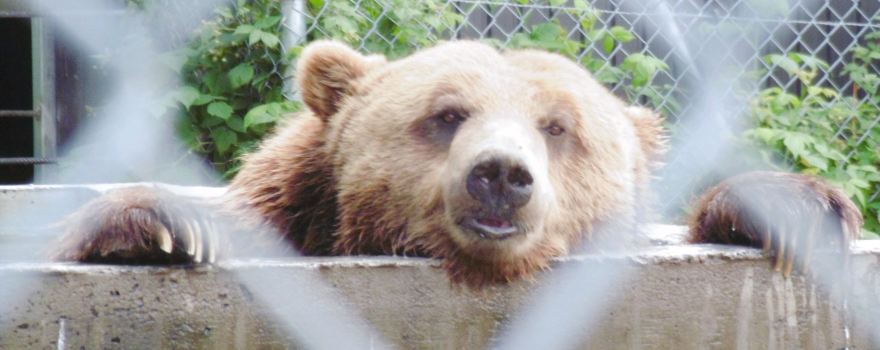 Zoo Falardeau