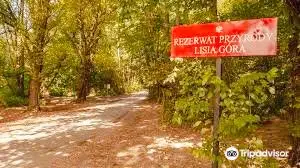 Nature Reserve: Lisia Góra