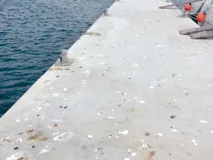 D-Marin Dalmacija Marina