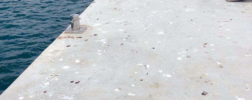 D-Marin Dalmacija Marina