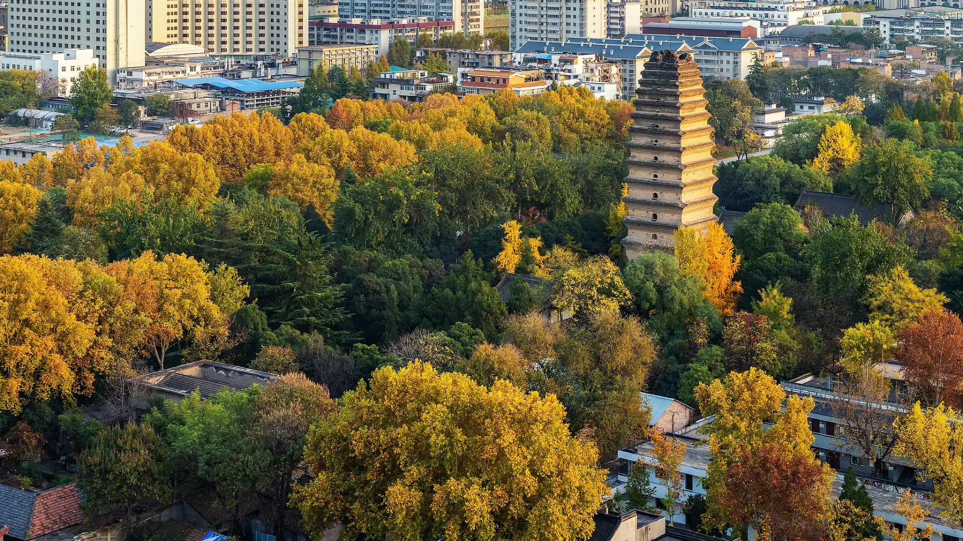 鄰近小雁塔遺址公園的酒店