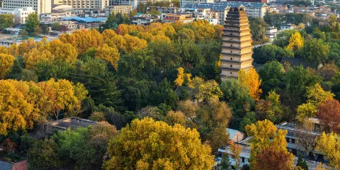 小雁塔遺址公園