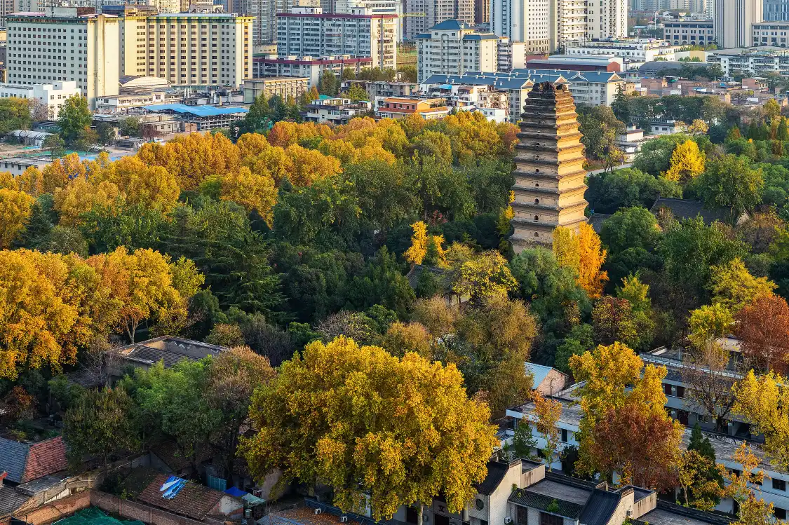 Hotel in zona Xiaoyan Tower (Jianfu Temple)