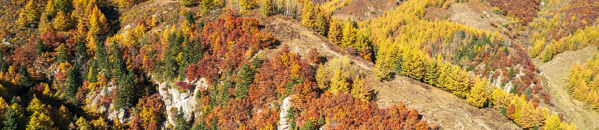 Fall Viewing Attractions