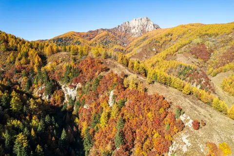 蘆芽山旅遊度假區