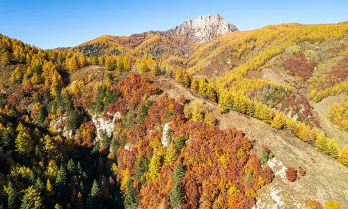 Luya Mountain Scenic Area