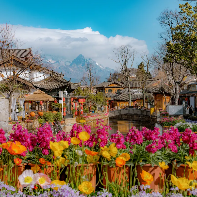 麗江古城