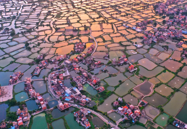 Art Field NANHAI 2024 | Phật Sơn