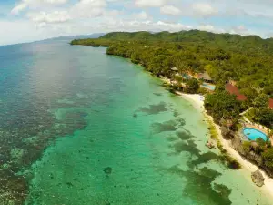 Bohol Island