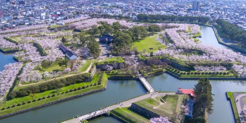 五稜郭公園