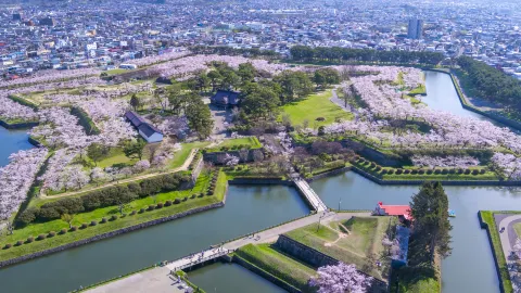 Goryokaku Park attraction in Hakodate