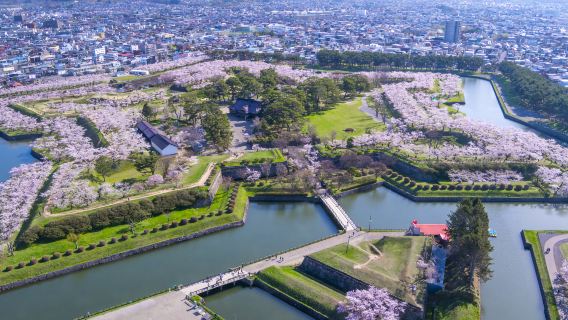 Goryokaku Park