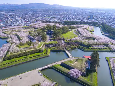 Hotels near Goryokaku Garden