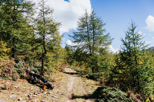 Shangri-La Hiking
