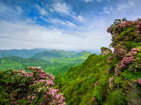 จุดชมวิวภูเขาคิงมูน