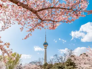 玉淵潭公園