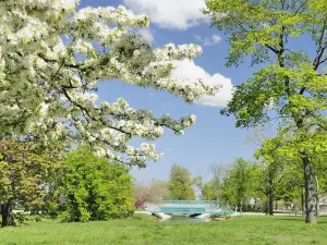 Belle Isle