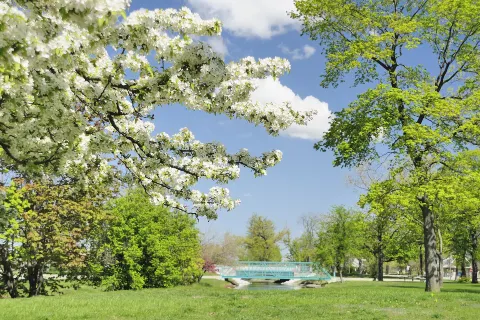 Belle Isle