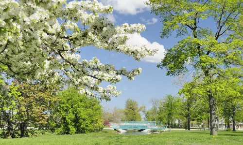Belle Isle
