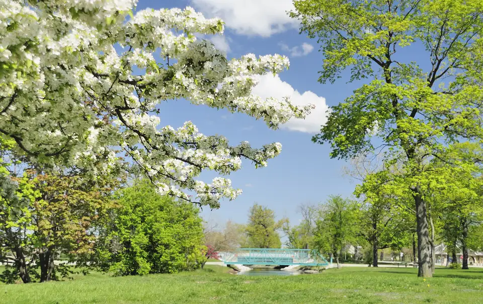 2_Belle Isle