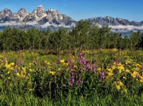 Popular Spring Outings in Jackson