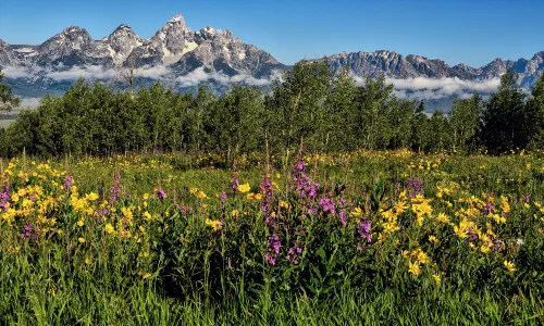 Parc national de Grand Teton