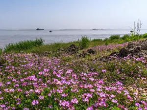 Dongting Lake Tourism and Resorts Zone