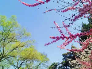 Nanhu Park