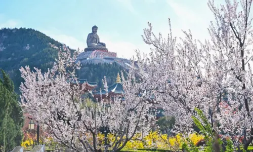 Nanshan Tourist Area