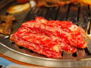 大朴家烤肉(公新店)