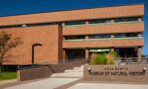 Museum of Natural History