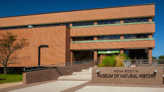 Museum of Natural History