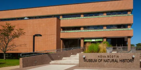 自然歷史博物館