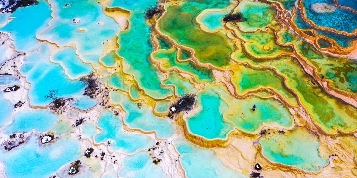 Five-Color Pond