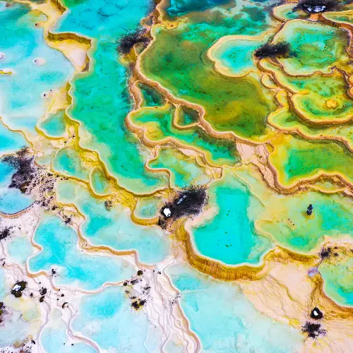Five-Color Pond