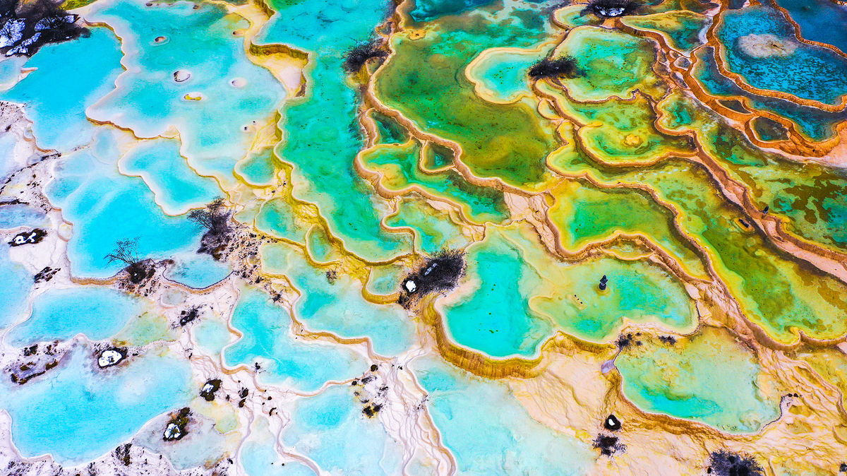 Five-Color Pond