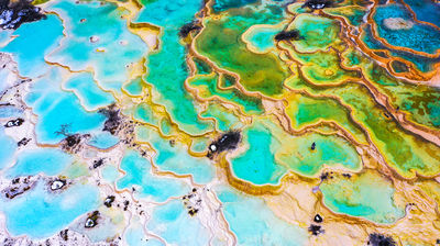 Five-Color Pond