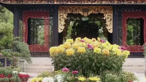 梁園 attraction in 佛山