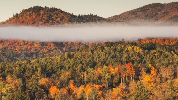 Whiteface Mountain