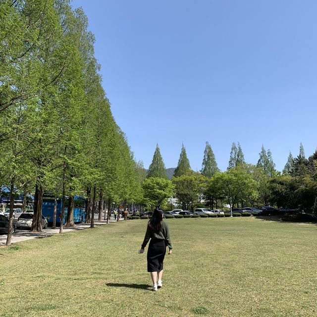 초록빛 창원