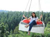 Dago dream park