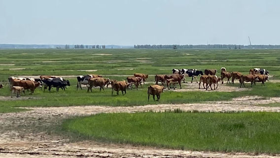 Yanshou Mayanhe National Wetland Park