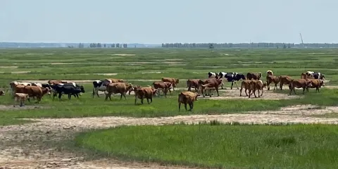 延壽螞蜒河國家濕地公園
